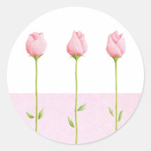 3 Pink Rosebuds Sticker