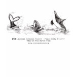 3 Playful Killer Whales Fashion T-shirt