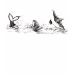 3 Playful Killer Whales Hoodie t-shirts