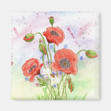 '3 Poppies' Magnet