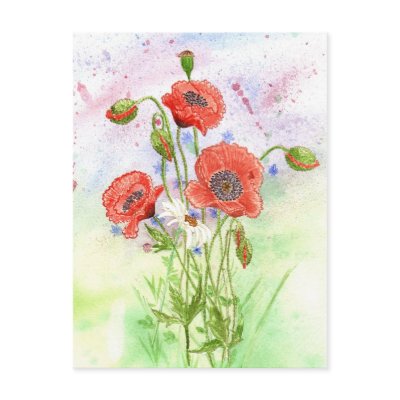 '3 Poppies' Postcard by picklelillysdad