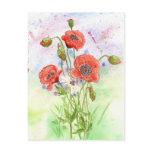 '3 Poppies' Postcard