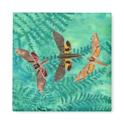 3 Pretty Moths on Teal Fern Magnets by JuJuGarden