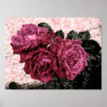 3 roses poster