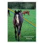 3.  Scenic Ireland Pasture