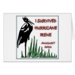 #3 Survived Hurricane Irene Cards