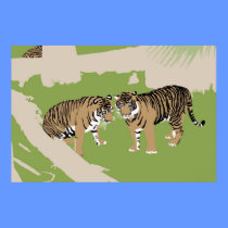 3 Tigers poster posters
