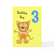 3 year old birthday boy