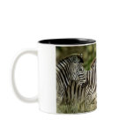 3 Zebra Mug