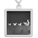 3cm Family Swim