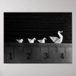 3cm Family Swim