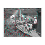 3D Anaglyph - Hampton Lode Ferry, Shropshire, UK Postcard