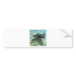 3d-baby-turtle bumper stickers