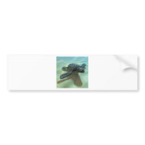 3d-baby-turtle bumper stickers
