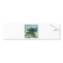 3d-baby-turtle bumper stickers