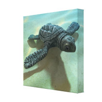 3d Baby Turtle Stretched Canvas Print