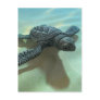 3d-baby-turtle post card
