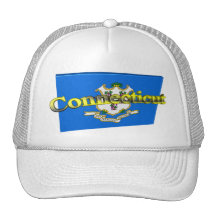 3D Connecticut State Flag Hat