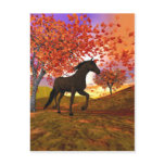 3d Fall Horse Postcard