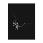 3D Halftone Flying Dragon Skeleton 1