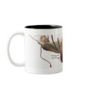 3d model of the female reproductive system mugs