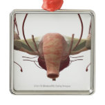 3d model of the female reproductive system christmas tree ornament