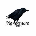 3D Nevermore Raven