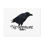 3D Nevermore Raven