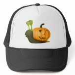 3d Snail Pumpkin hats