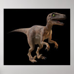 3d Velociraptor posters