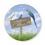 3FF magnet