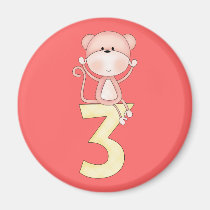 3rd Birthday Monkey (pink) magnets