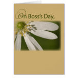 4003 Boss's Day , White Flower cards