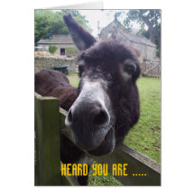 40th Birthday Greeting Card