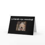 40th-LOOKING A BIT ANNOYED Greeting Card