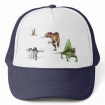 4197axxc, 419c, 49c, 4197a hats
