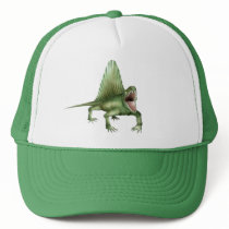 4197axxc hats