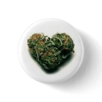420 pin