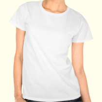 42 Fold Path To Nerdvana (Pink) t-shirts