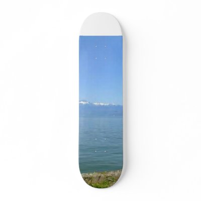 454, 454 SKATEBOARDS by nivs01