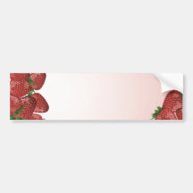 4564567547 (10) BUMPER STICKER