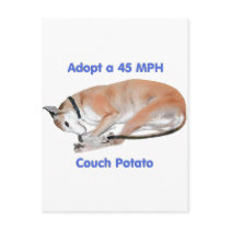 45 mph Couch Potato