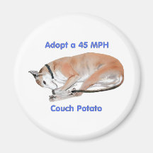 45 mph Couch Potato Refrigerator Magnets