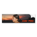 4-7-2008-116, P8070362, 3D CULTURE, 3D CULTURE BUMPER STICKER