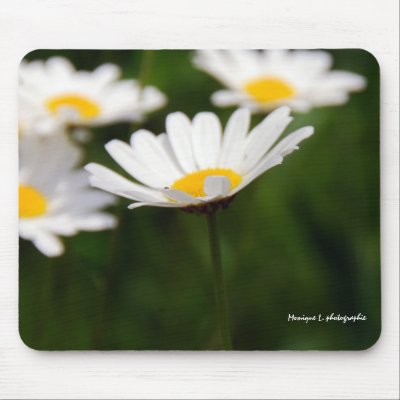 4 daisies mouse pads by chelseaonline