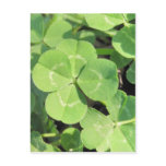 4 Leaf Clover Good Luck Charm Postcard