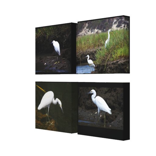 4 Little Egrets Wrapped Canvas Canvas Print
