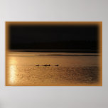 4 loons posters