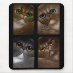 4 PERSIAN CATS Mousepad