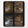 4 PERSIAN CATS Mousepad